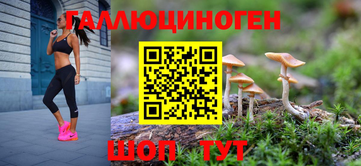 Псилоцибиновые грибы мицелий  Вход с VPN  Черкесск 